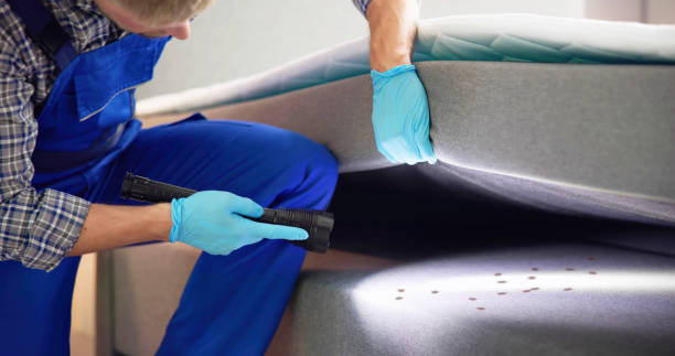 Best Best Pest Control Companies  in Rk Forest Village, PA